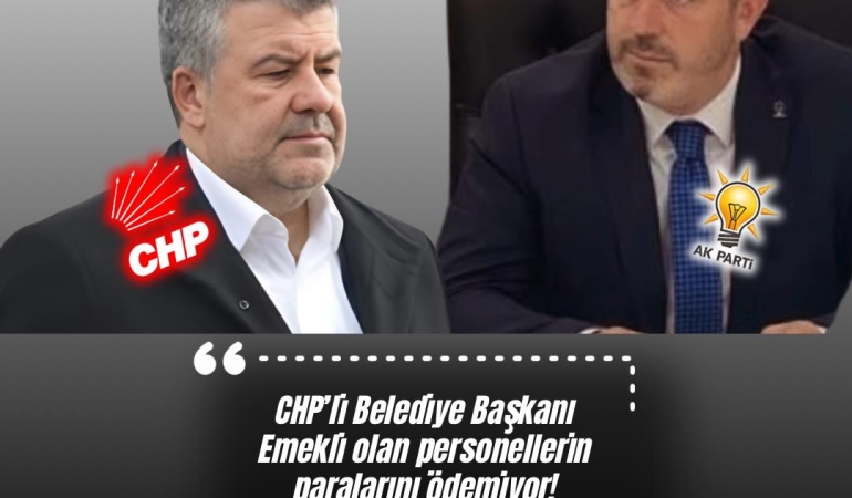 480990831_944300227824552_8438878190453303390_n