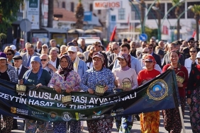 20-ayvalik-uluslararasi-zeytin-hasat-ve-turizm-festivali-basliyor.jpg