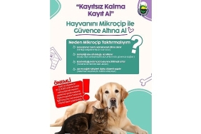 inegol-belediyesinden-evinde-kedi-kopek-besleyenlere-mikrocip-uyarisi.jpg